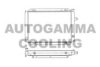 AUTOGAMMA 102273 Radiator, engine cooling